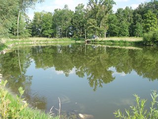 1600 Sq. Ft. farmhouse, machinery shed and outbuildings.  1 acre managed pond, woods, 45 prime tillable acres including 20 CRP acres.  Frontage on two roads.  Nice mix of tillable, CRP and wooded acres.  Only 15 minutes to Richmond, Indiana. - 60 Acre Complete Farm Unit